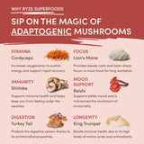 Mushroom Chai (1 Pack - 20 Servings)